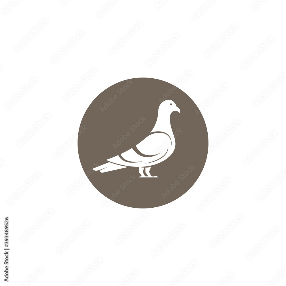 pigeon icon vector illustration design template pigeon icon vector illustration design template