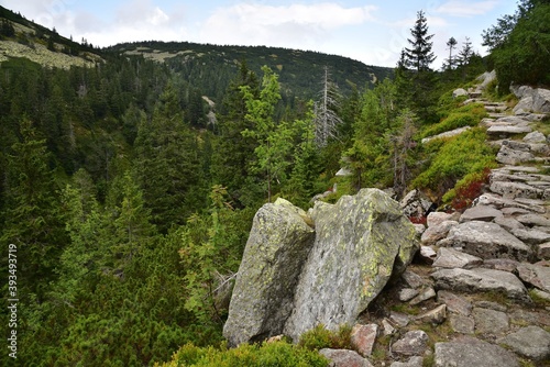 Fototapeta Naklejka Na Ścianę i Meble -  White Water Valley in Giant Mountains is a valley stretching in the Czech Republic, close to Czech town Spindleruv Mlyn and Polish borders.