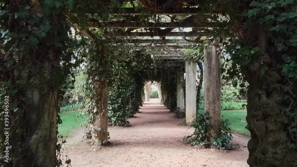 Walking through a vine covered tunnel -wide Walking through a vine covered tunnel -wide