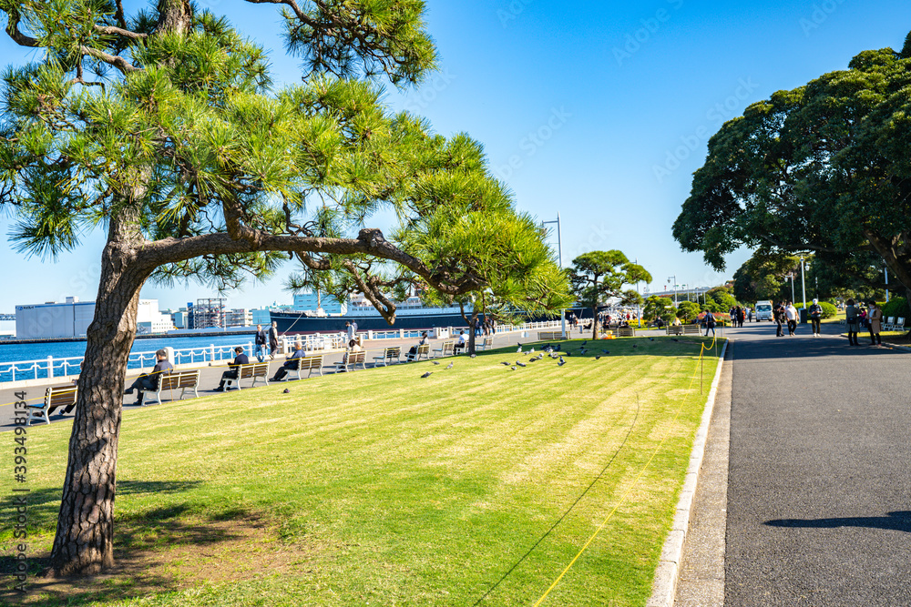 横浜・山下公園/芝生と花壇 横浜・山下公園/芝生と花壇