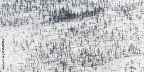 Foto Winter aerial view of a snowy larch forest