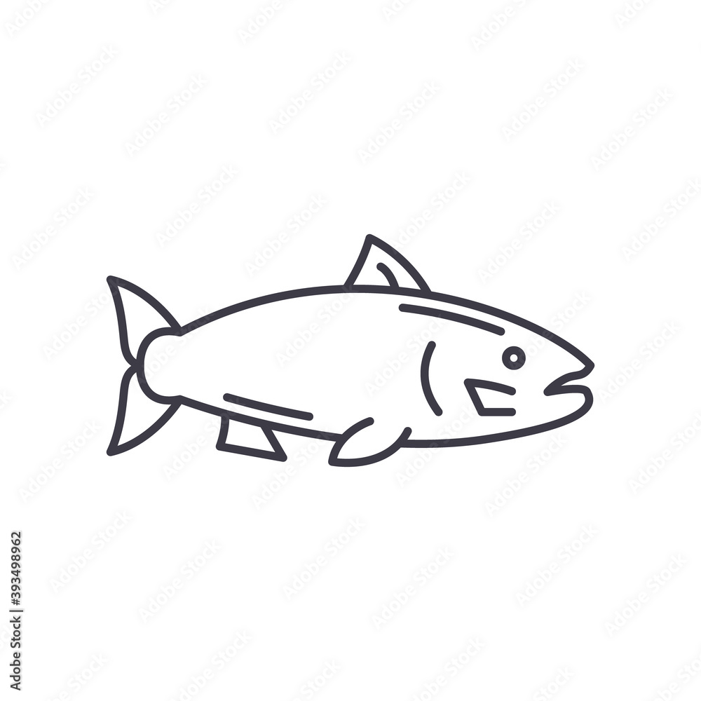 Salmon fish icon, linear isolated illustration, thin line vector, web design sign, outline concept symbol with editable stroke on white background.