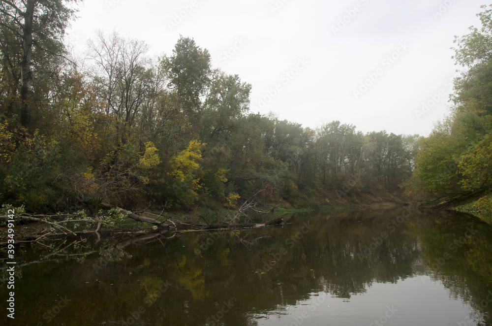 Landscape of an autumn river with trees on the bank Landscape of an autumn river with trees on the bank