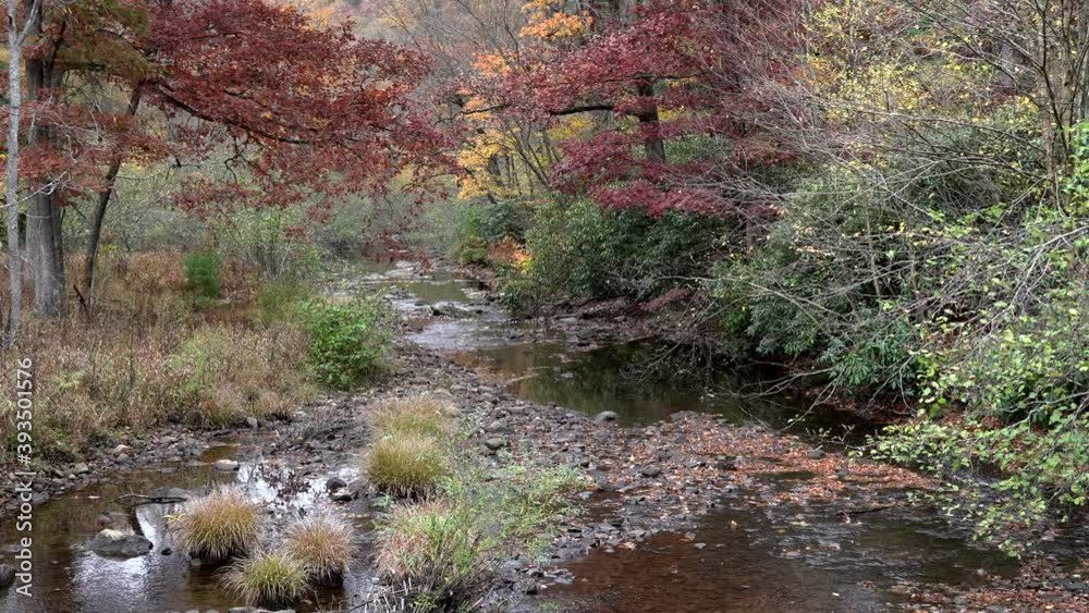 A small stream flowing through the forest on a cool autumn day in the mountains. A small stream flowing through the forest on a cool autumn day in the mountains.
