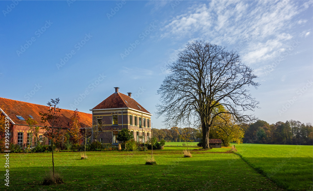 Rural landscape in autumn colors near Winterswijk, Netherlands
