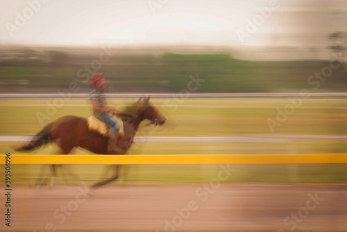 caballo galopar hipodromo carrera  photo