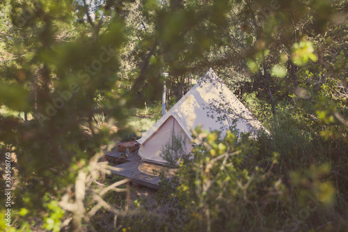 Bild auf Leinwand a bell tent among the tree branches in the forest