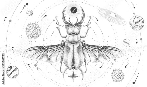 Modern magic witchcraft card with solar system and stag beetle. Hand drawing occult vector illustration