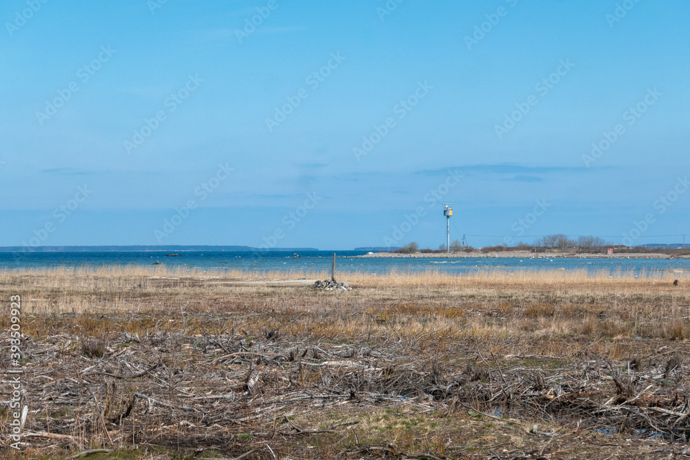 baltic sea in summer