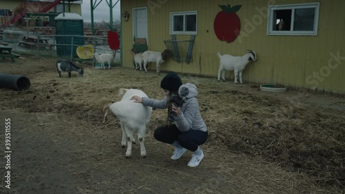 A Young Girl Caressing The Goat In The Barnyard In Coaticook, Quebec, Canada - Medium Shot, Slow Motion photo