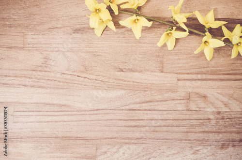 High angle shot of forsythia flowers on a wooden surface - copy space photo