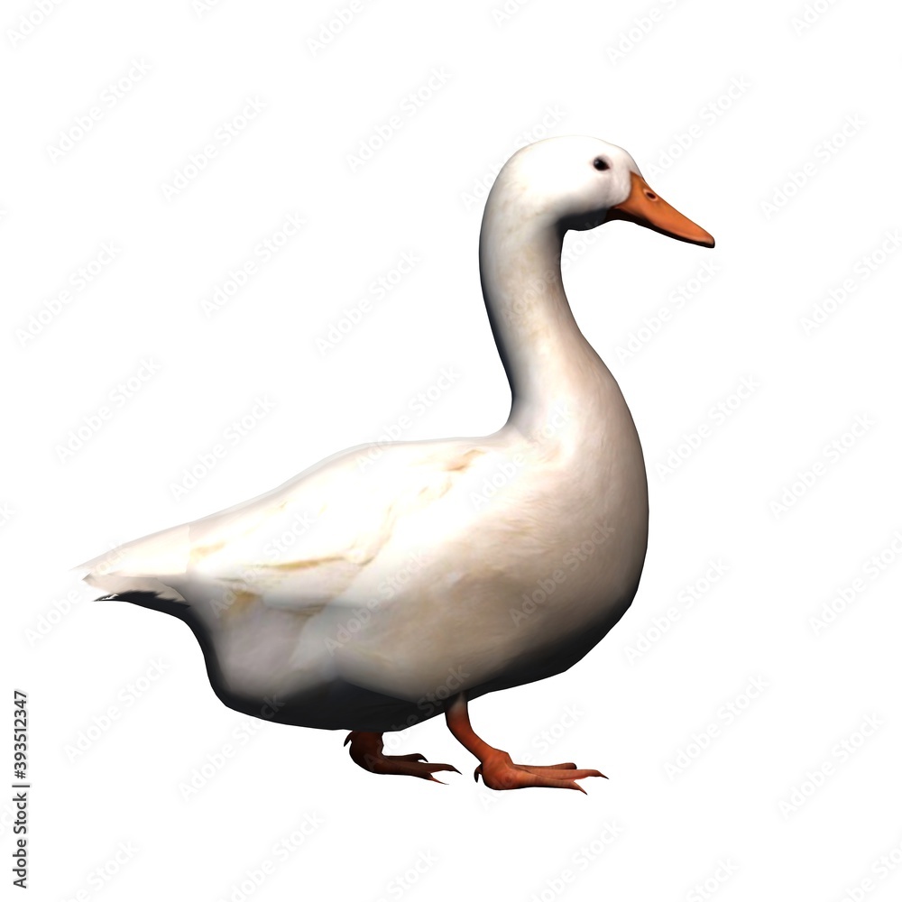 Farm animals - white goose - isolated on white background - 3D illustration Farm animals - white goose - isolated on white background - 3D illustration