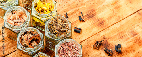 Healing herbs or medicinal herbs