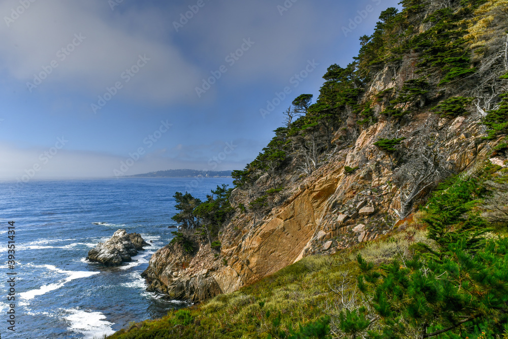 Point Lobos State Natural Reserve - California