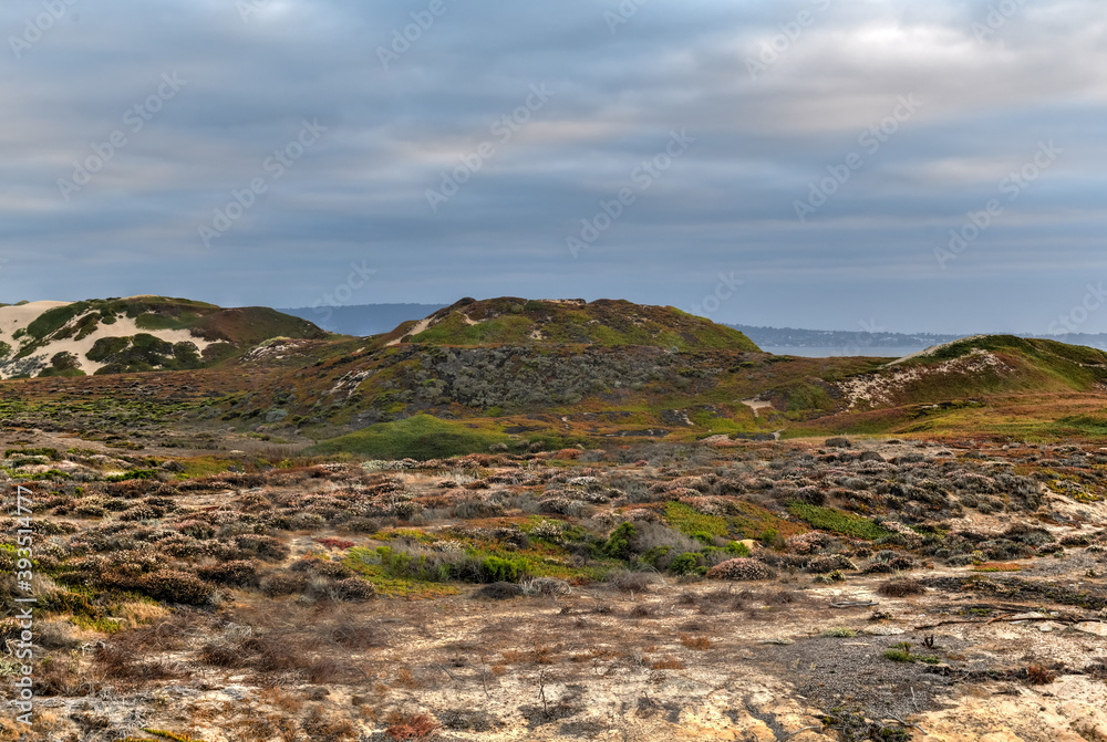 Fort Ord Dune State Park - California