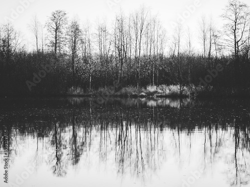 Moody landscape of forest and river in Autumn. Black and white abstract photography.