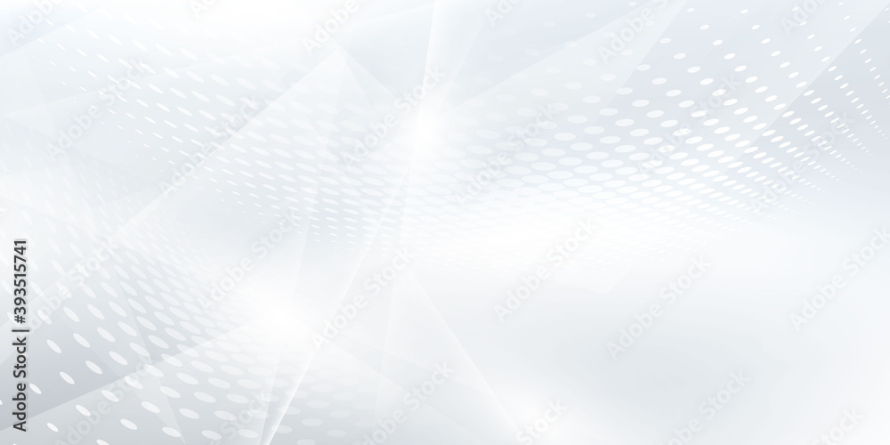 Naklejka premium Abstract grey white background poster with dynamic waves. technology network Vector illustration.