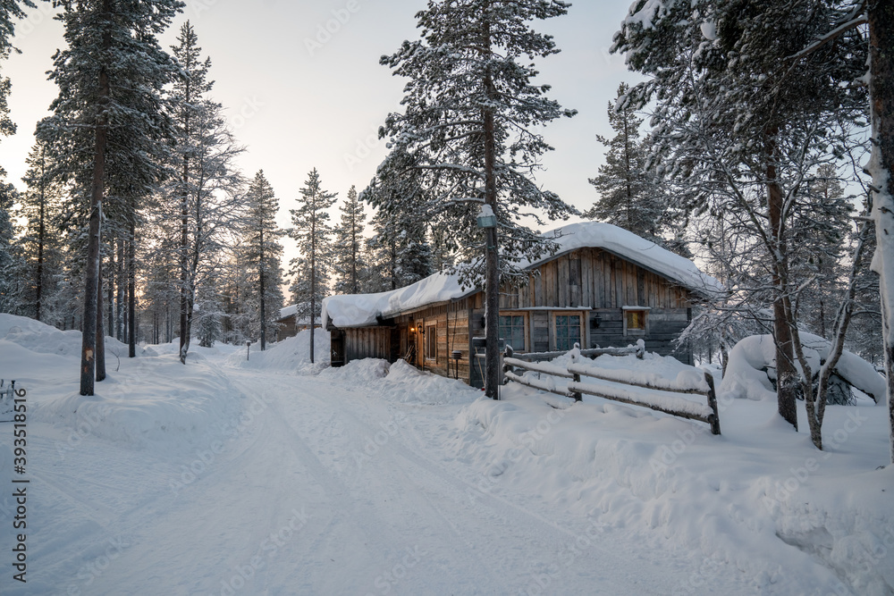 Winter in the forest, pines, trees  covered in snow winter and the village inside the Arctic Circle. Lapland, Finland. Winter sunrise 