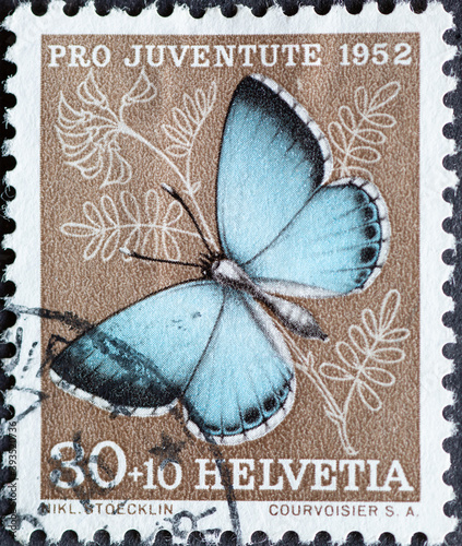Switzerland - Circa 1952 : a postage stamp printed in the swiss showing a silver-gray blue butterfly (Lycaena argentata) on mountain sorrel photo
