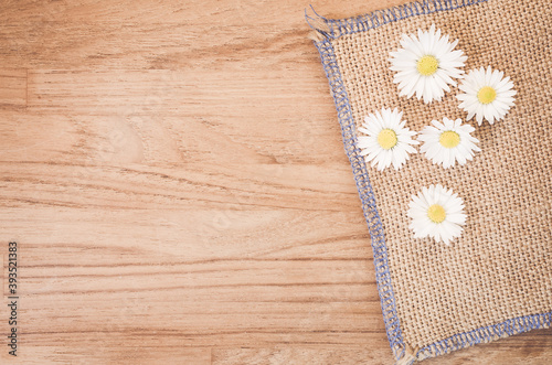 High angle shot of Daisy flowers on a piece of cloth on a wooden surface