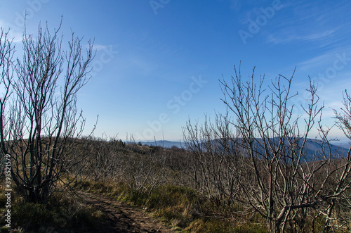 Fototapeta Naklejka Na Ścianę i Meble -  Bieszczady