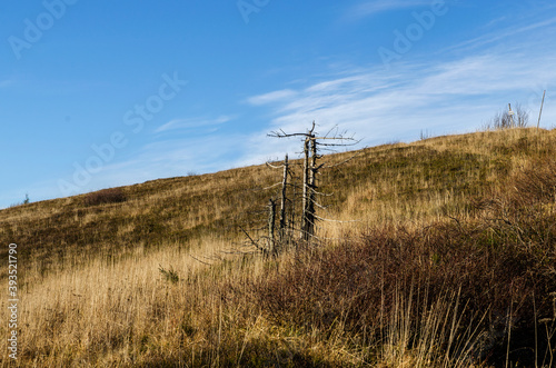 Fototapeta Naklejka Na Ścianę i Meble -  Bieszczady