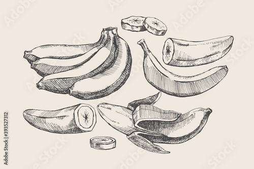 Set of hand-drawn bananas. Dessert fruit, sliced and whole. Organic food concept. It can be used as an element of the design of markets, menus, and packaging. Vector botanical illustration.