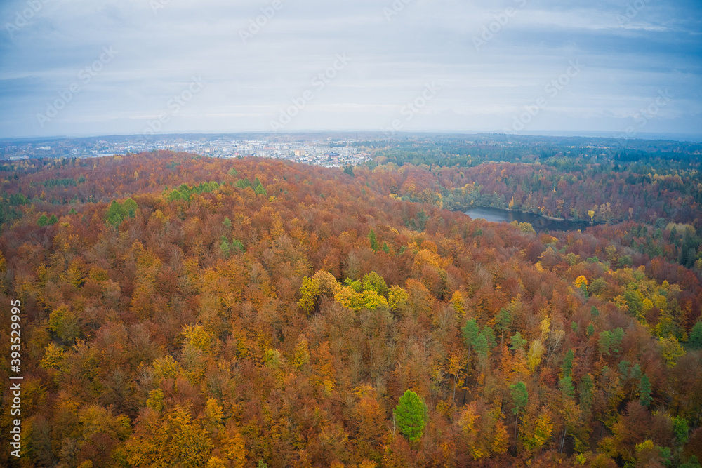 Kartuzy - rezerwat przyrody Zamkowa Góra