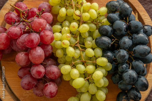 Three types of big colorful grapes, muscate, harvest, vine, seedless, raisins