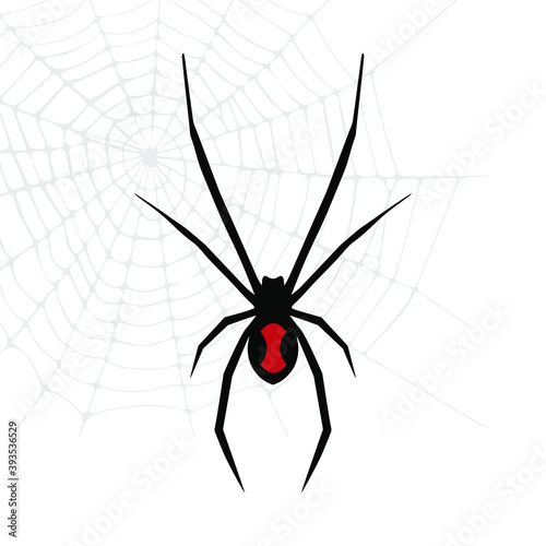 Black Widow spider vector illustration © SarraMagdalina