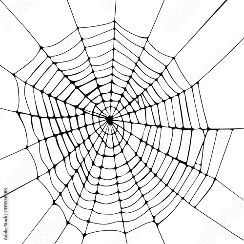 Spider web flat vector illustration. Halloween decoration with cobweb. Spiderweb outline graphic. 