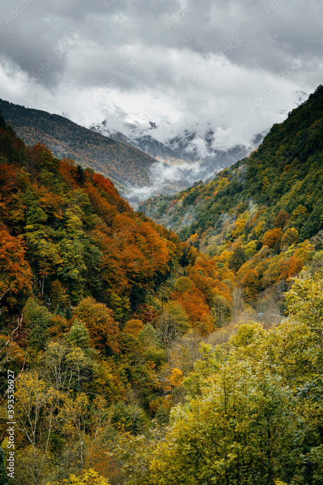 Mountains with autumn colors in the Vall de Aran in Catalonia