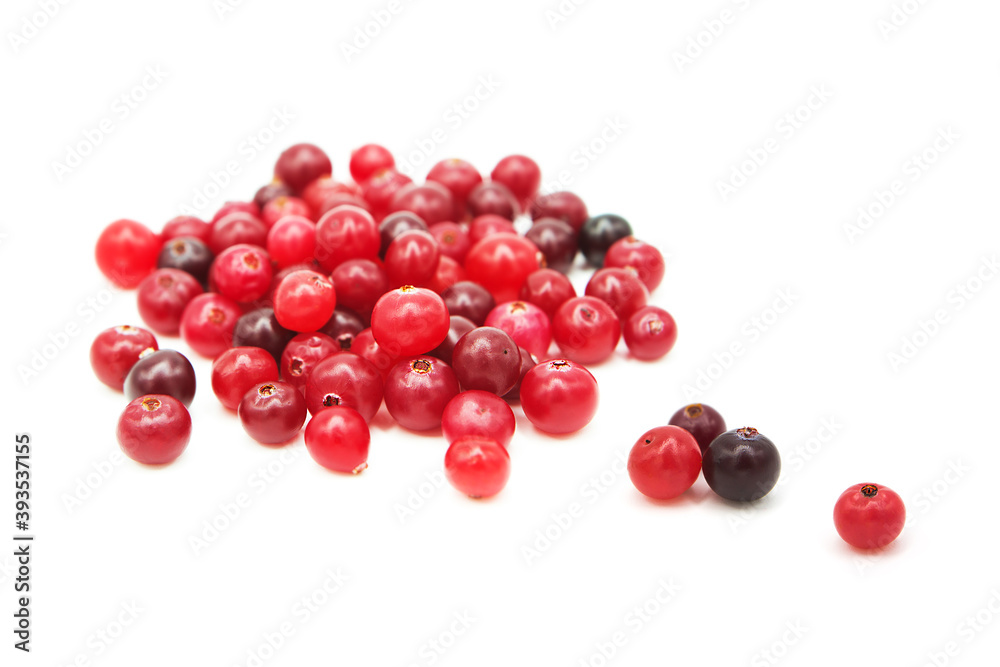 Ripe organic cranberry isolated on white background. Сopy space on a white background. Ripe organic cranberry isolated on white background. Сopy space on a white background.