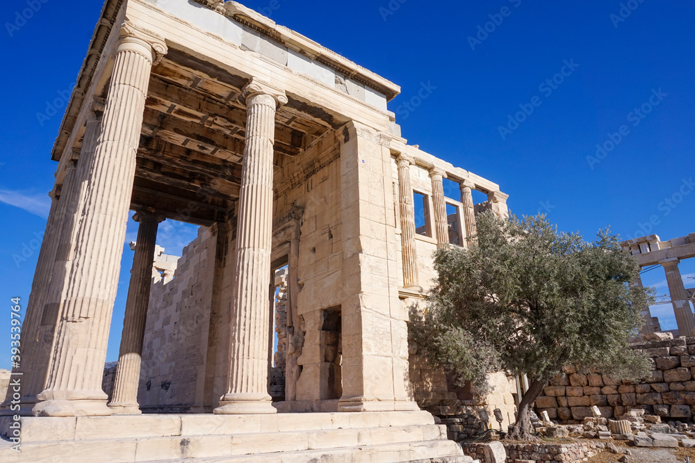 Obraz premium Temple of Athena Polias next to the Olive Tree of the Pandroseion