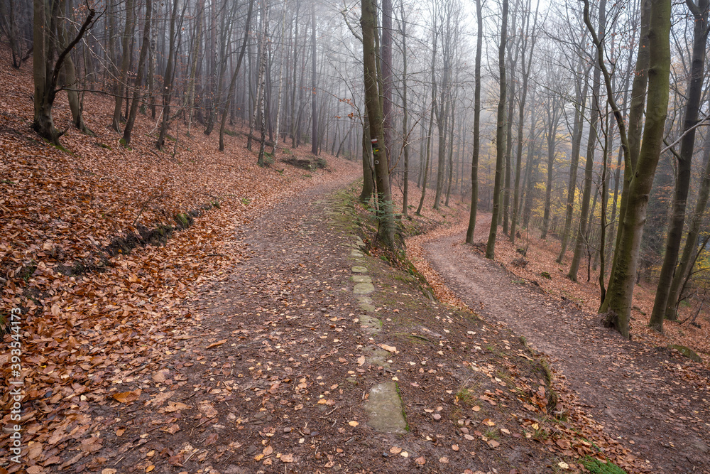 Naklejka premium Altstraße