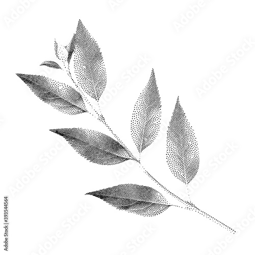 Dotted simple leaf vector in modern pointillism style. Realistic natural element for graphic work and fashion design. Isolated outline in dots on white background