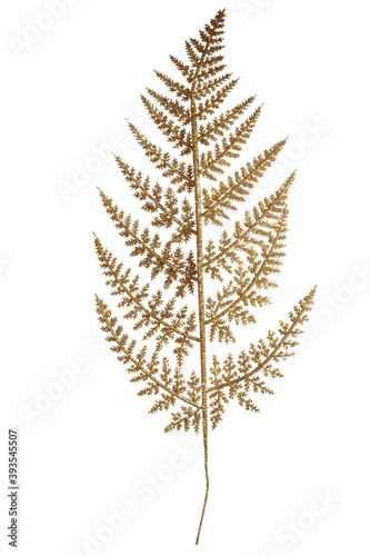 Golden glittery plant isolated on white backgound, christmas decorations.