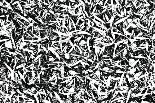Grunge texture of willow leaves on the ground. Abstract monochrome background. Vector illustration. Overlay template.