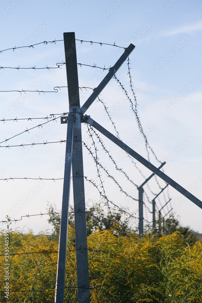 Fototapeta premium silhouette of Barbed wire on sunset background