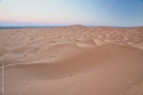 desertscape