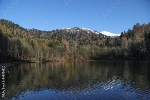 Autumn forest lake water view. Forest lake water in autumn. Autumn forest lake. Autumn forest lake view