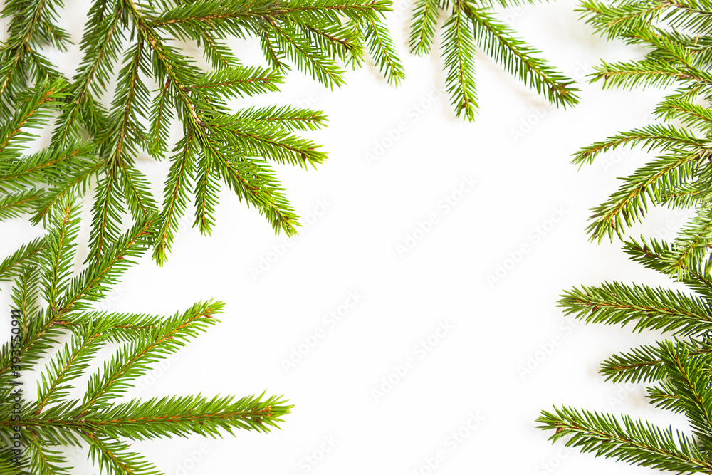 Natural frame of fresh green spruce branches on a white background. Christmas, new year, Christmas tree. Copy space