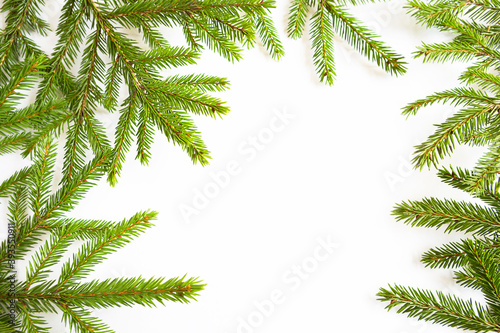 Natural frame of fresh green spruce branches on a white background. Christmas  new year  Christmas tree. Copy space