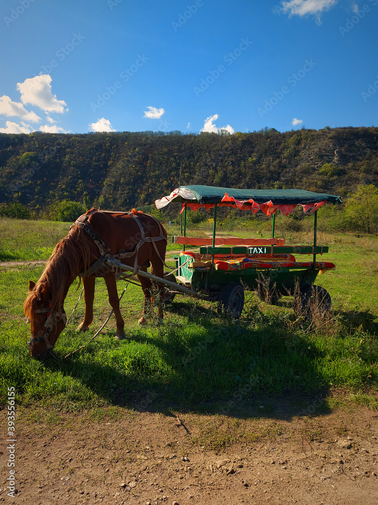 Obraz premium Old horse-drawn taxi carriage with one light brown horse parked on a beautiful hill. High mountains and blue sky with white clouds in the background. Rustic peisage.