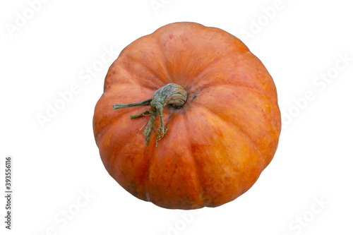 pumpkin photo, isolate, the harvest in the fall, Halloween