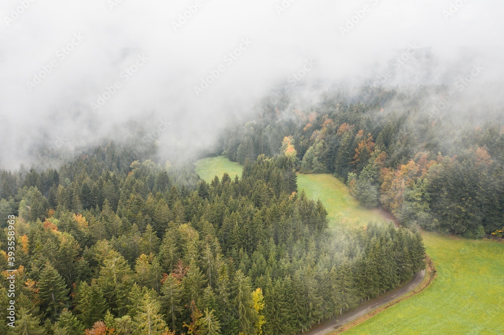 Bild einer Luftaufnahme von tief hängenden Wolken über den Bäumen eines Waldes im bayerischen Wald, Deutschland Bild einer Luftaufnahme von tief hängenden Wolken über den Bäumen eines Waldes im bayerischen Wald, Deutschland