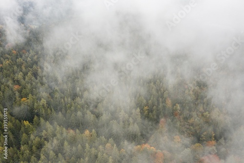 Bild einer Luftaufnahme von tief hängenden Wolken über den Bäumen eines Waldes im bayerischen Wald, Deutschland