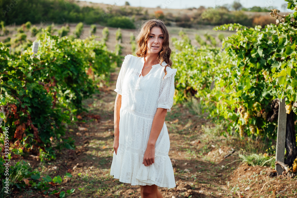 Beautiful fashionable woman in a dress in a field of vineyards collects grapes Beautiful fashionable woman in a dress in a field of vineyards collects grapes