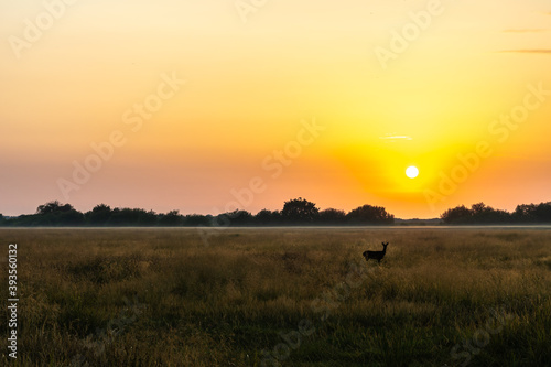 Sonnenaufgang im Naturschutzgebiet.