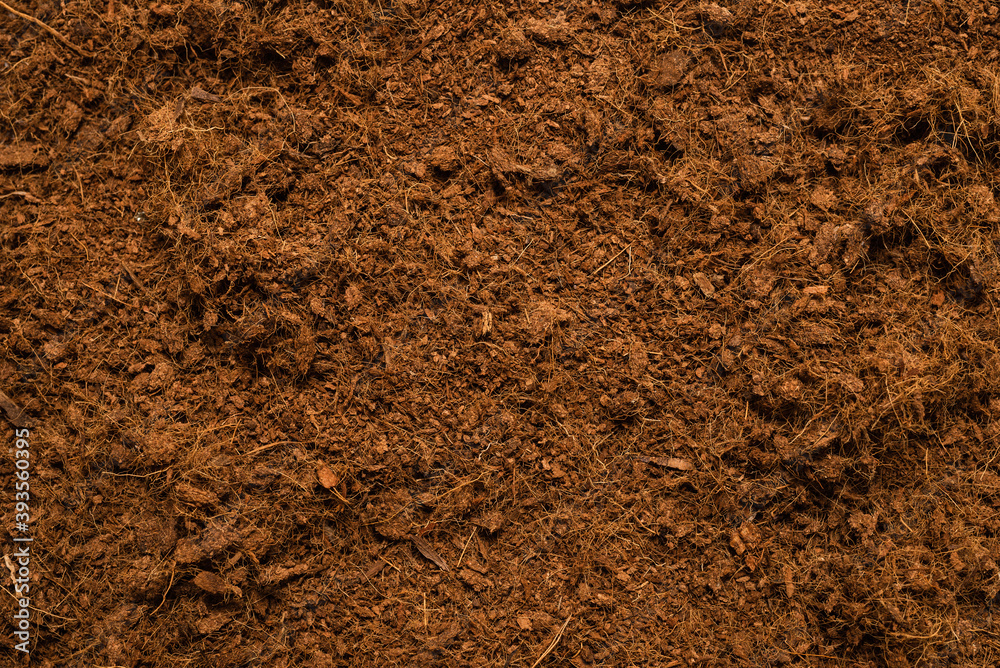 Coconut substrate background. Coconut substrate background.